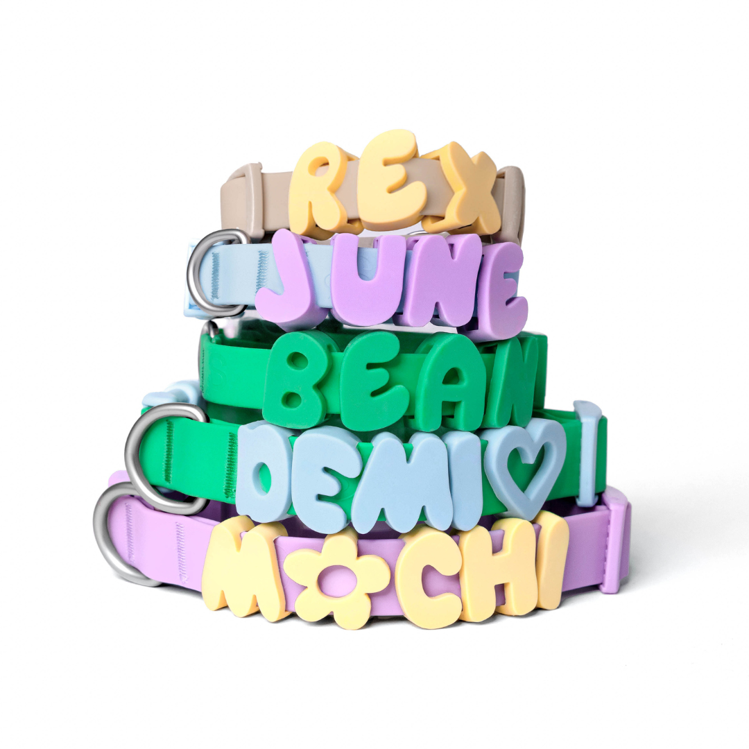 PREORDER - Silicone Dog Charms, Personalize Dog Collar/Leash (63 Pack Assorted)