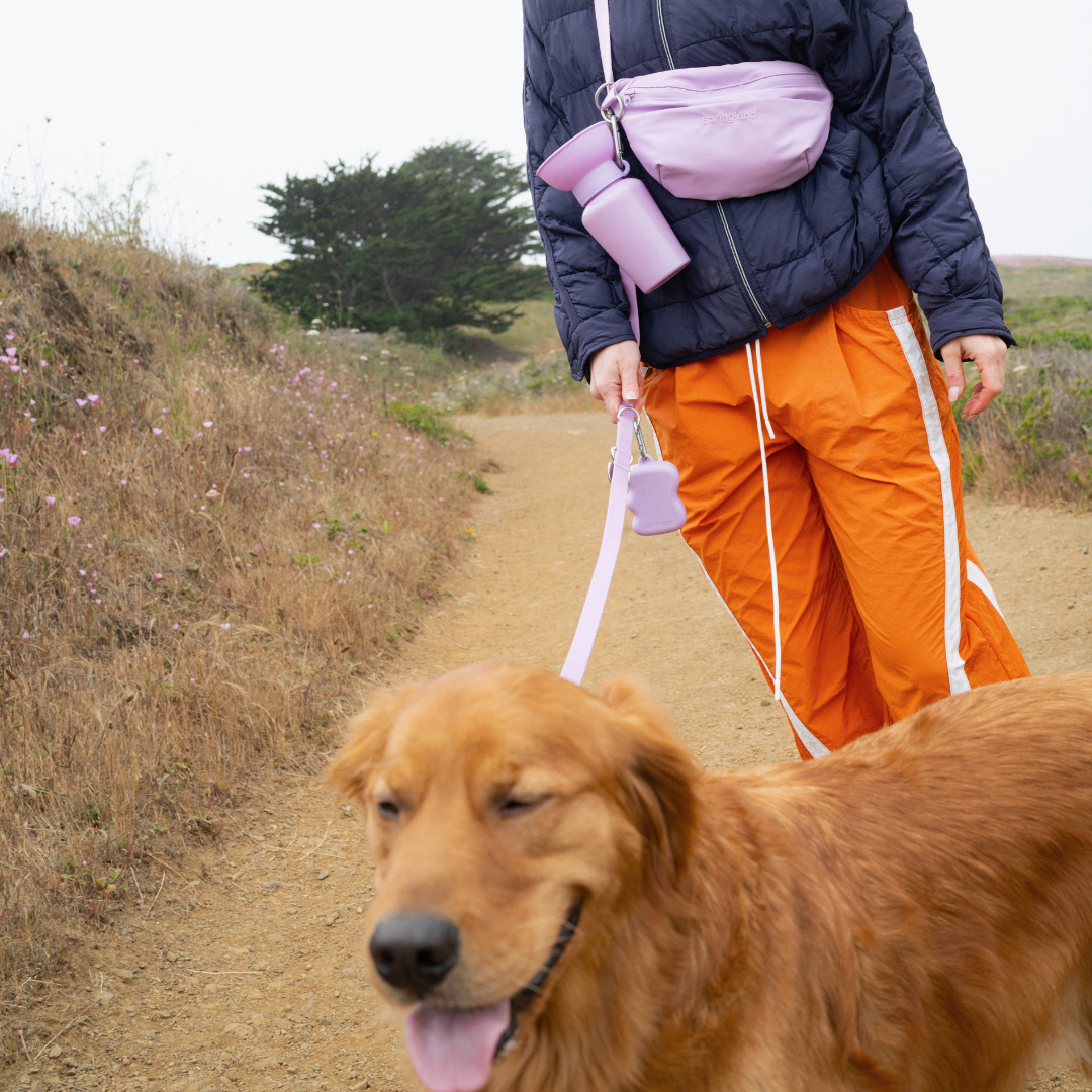 PREORDER - Hands-Free Dog Walking Bag with Leash (4 Pack)