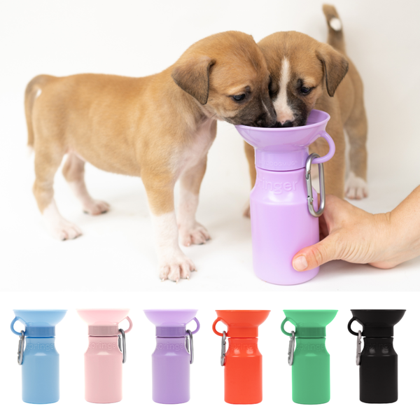 15oz Mini Dog Water Travel Bottle (Case of 12) – Springland Pets 15oz Mini Dog Water Travel Bottle (Case of 12) – Springland Pets