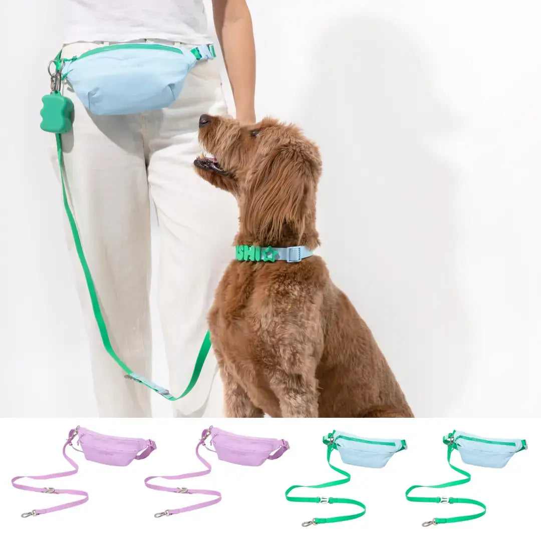 PREORDER - Hands-Free Dog Walking Bag with Leash (4 Pack)