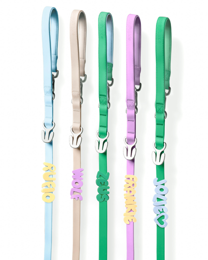 Silicone Dog Charms, Personalize Dog Collar/Leash (63 Pack Assorted)