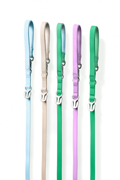 PREORDER - Premium Waterproof 5ft Dog Leash (4 or 5 Pack)