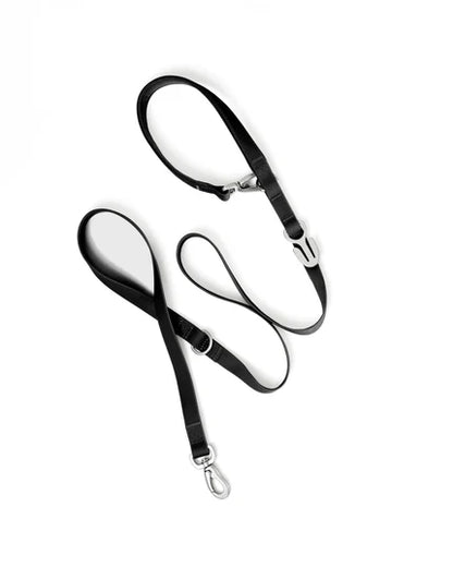 Premium Waterproof 5ft Dog Leash (4 or 5 Pack)