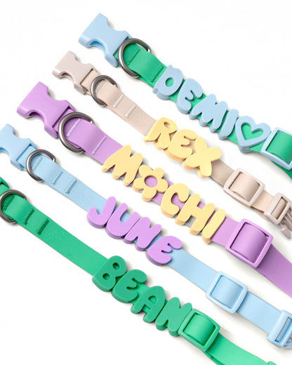 PREORDER - Waterproof Dog Collar With Safe-release Buckle (5 or 6 Pack)