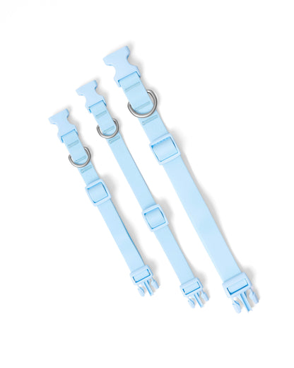 PREORDER - Waterproof Dog Collar With Safe-release Buckle (5 or 6 Pack)