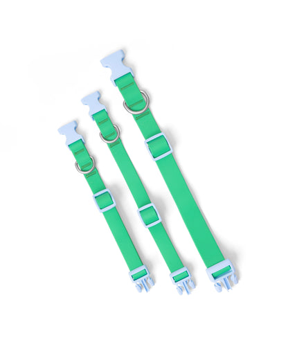 PREORDER - Waterproof Dog Collar With Safe-release Buckle (5 or 6 Pack)