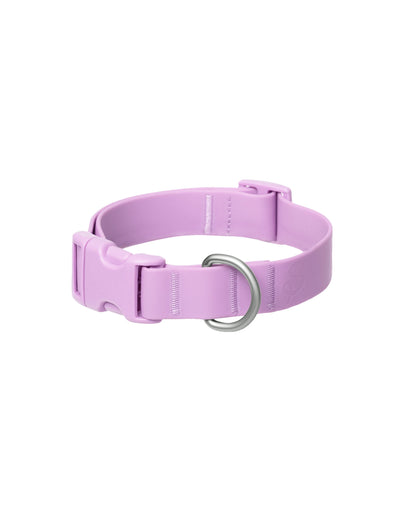 PREORDER - Waterproof Dog Collar With Safe-release Buckle (5 or 6 Pack)