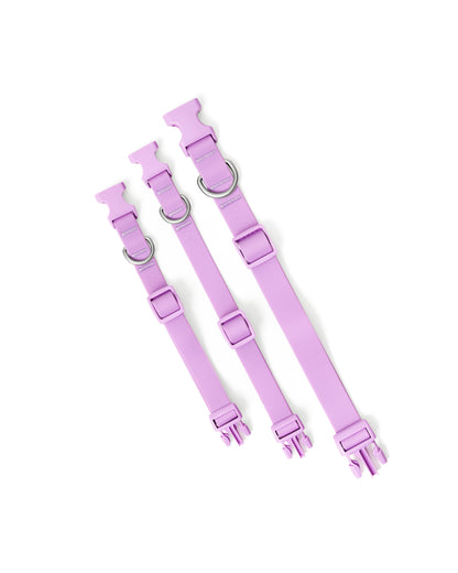 PREORDER - Waterproof Dog Collar With Safe-release Buckle (5 or 6 Pack)