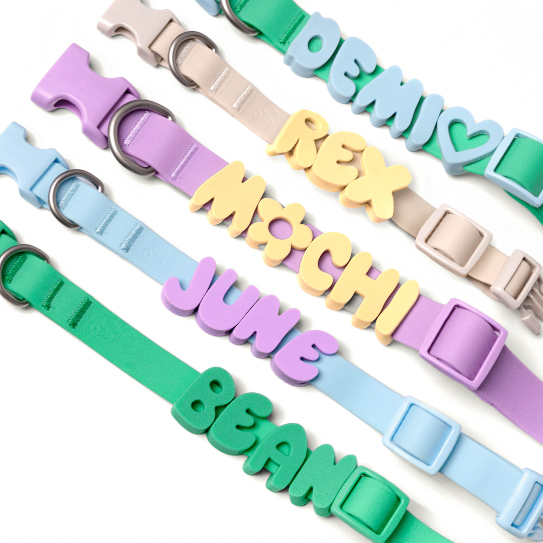 Five personalized dog collars in pastel colors with custom letter charms spelling different dog names
