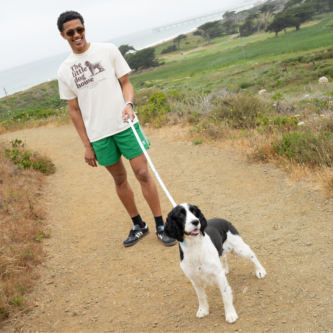 PREORDER - Premium Waterproof 5ft Dog Leash (4 or 5 Pack)