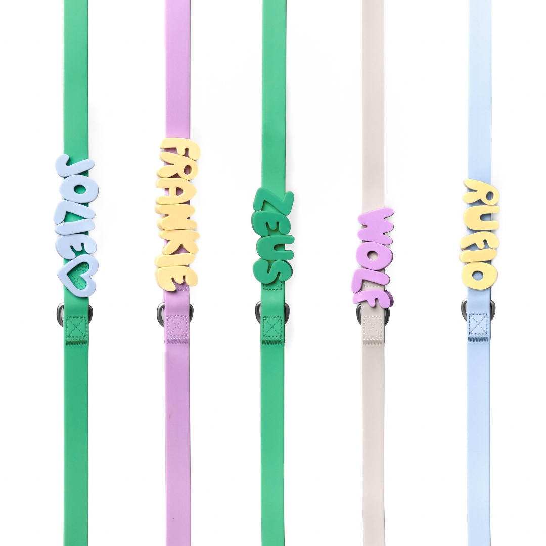 Silicone Dog Charms by Letter/Symbol/Strap Butter (Pack of 5)