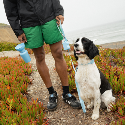 PREORDER - Premium Waterproof 5ft Dog Leash (4 or 5 Pack)