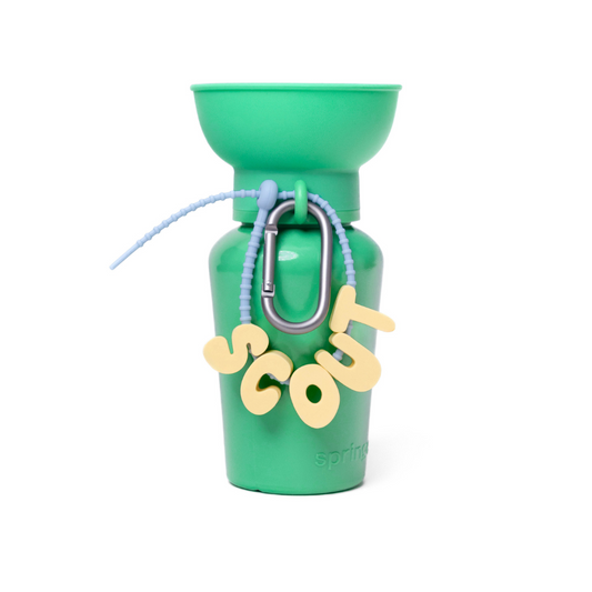 Adjustable Silicone Charm Strap (Set of 5)