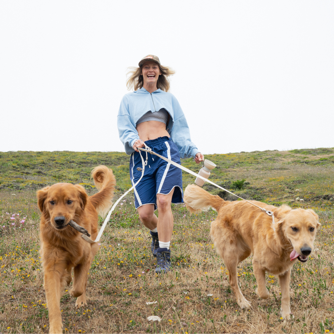 PREORDER - Premium Waterproof 5ft Dog Leash (4 or 5 Pack)