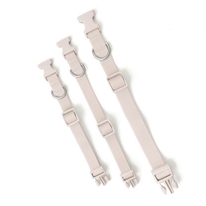 Waterproof Dog Collar (Pack of 4)