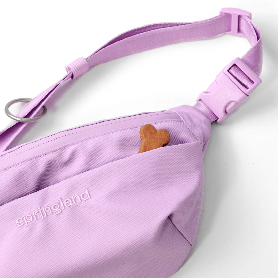 PREORDER - Hands-Free Dog Walking Bag with Leash (4 Pack)