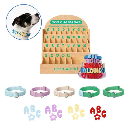 Charm Bar Counter Display + Products