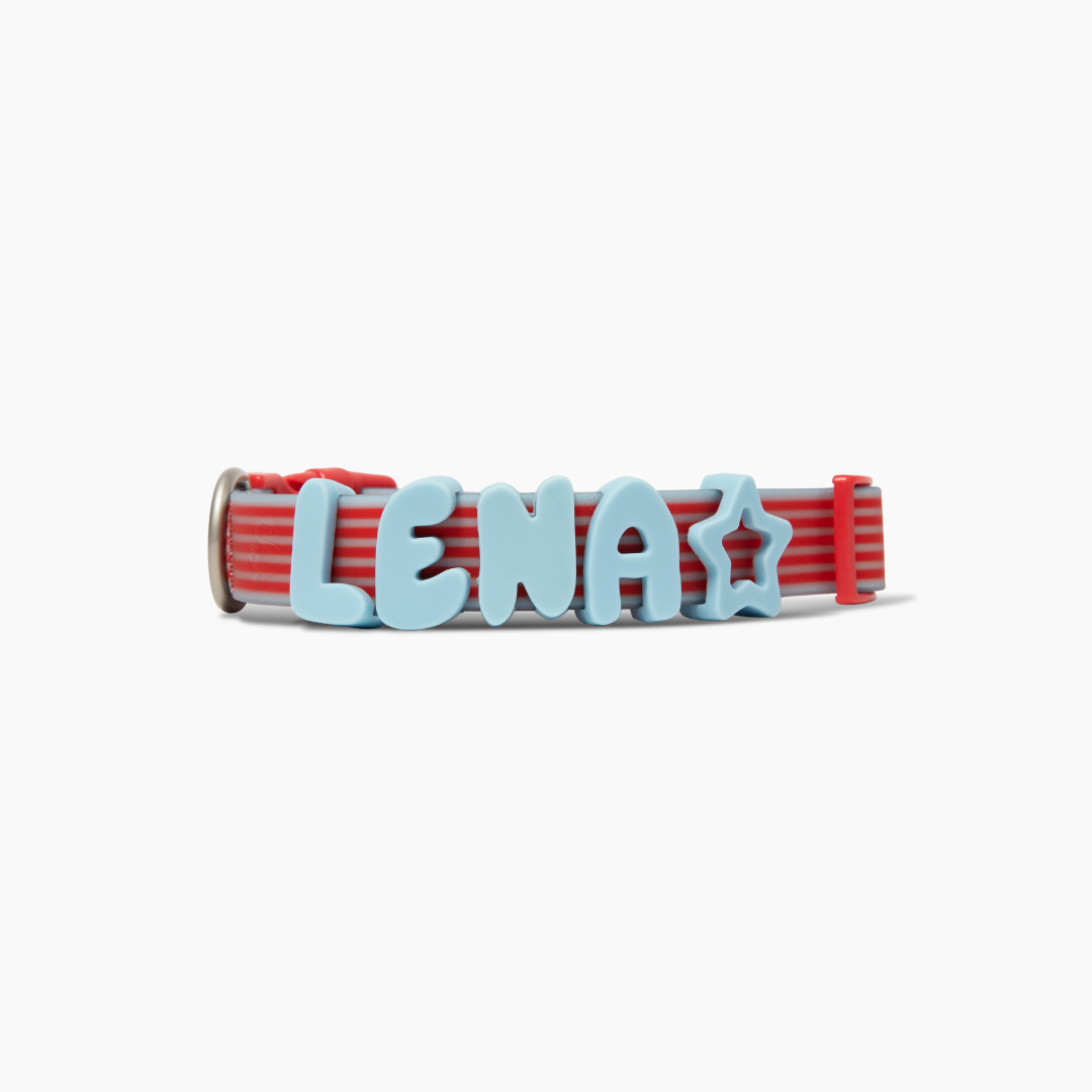 Waterproof Dog Collar (Pack of 4)
