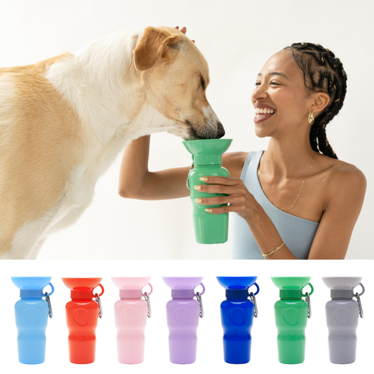 22oz Classic Dog Water Travel Bottle (Case of 12)