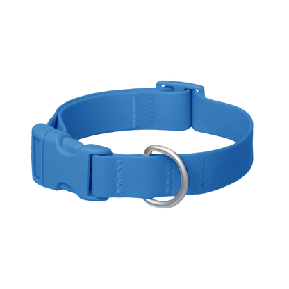 Waterproof Dog Collar (Pack of 4)