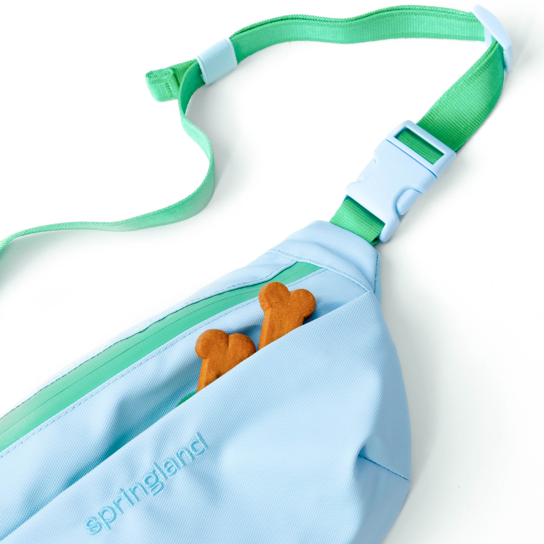 PREORDER - Hands-Free Dog Walking Bag with Leash (4 Pack)