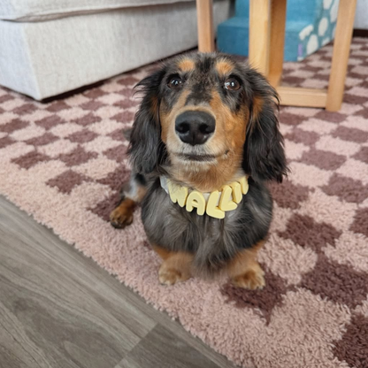 Silicone Dog Charms by Letter/Symbol/Strap Butter (Pack of 5)