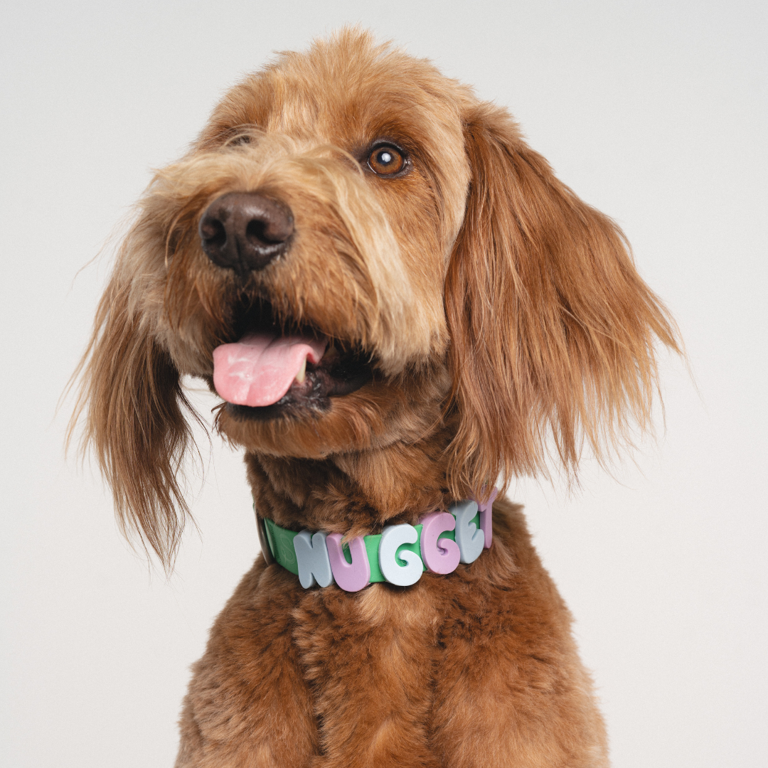 Silicone Dog Charms by Letter/Symbol/Strap Sky Blue (Pack of 5)