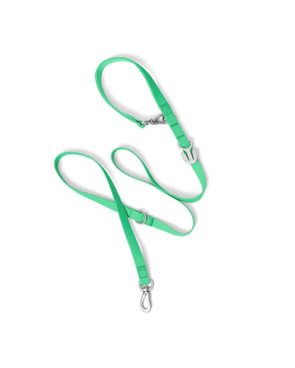 Complete Dog Walk Set + Charm Bar Counter Display