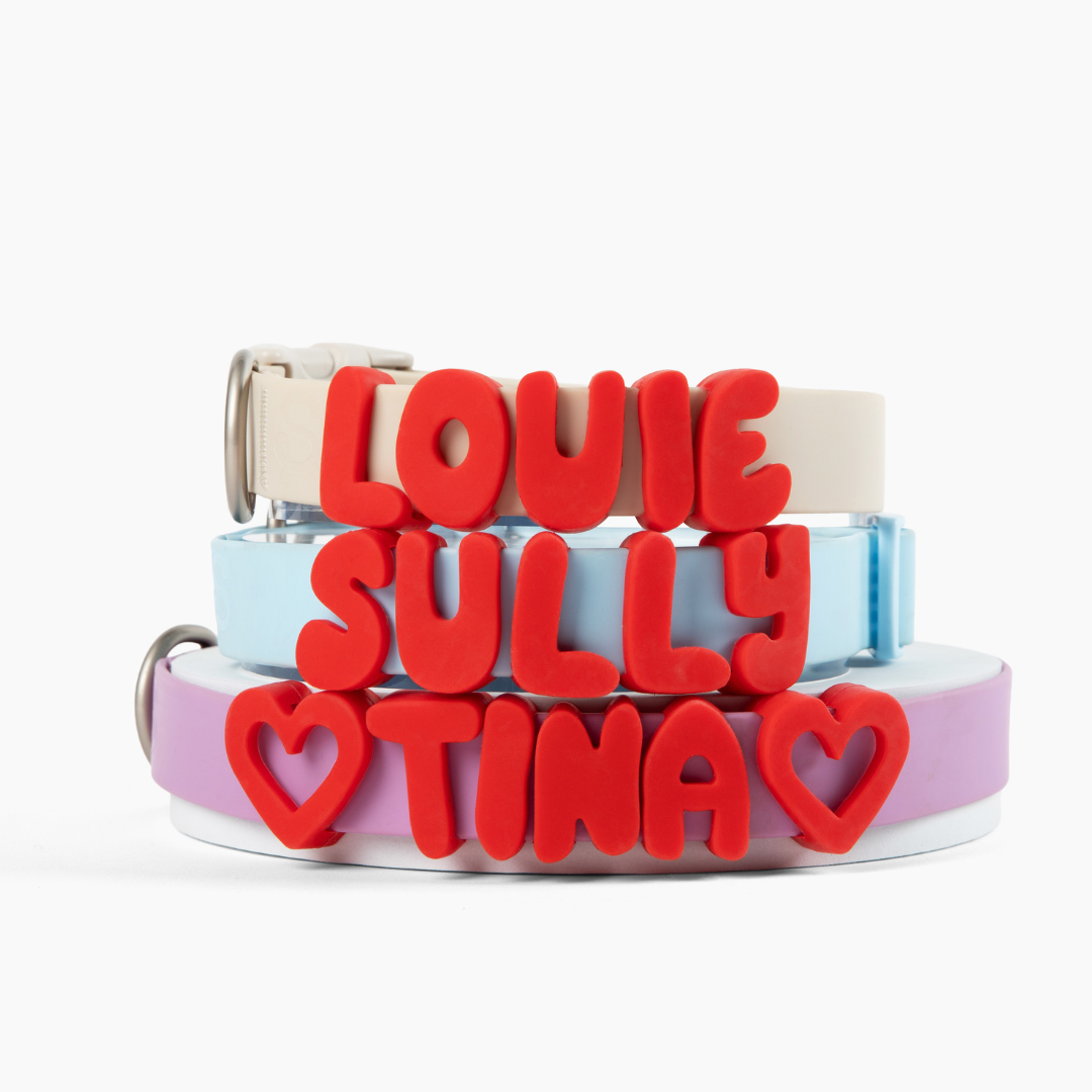 Silicone Dog Charms Cherry Red — collar shot