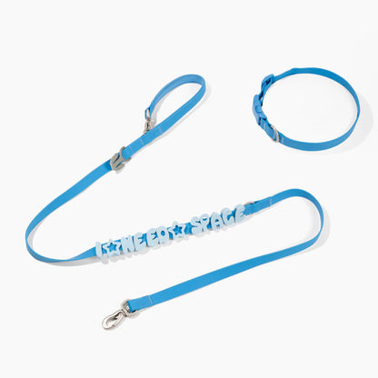 Premium Waterproof 5ft Dog Leash (4 or 5 Pack)