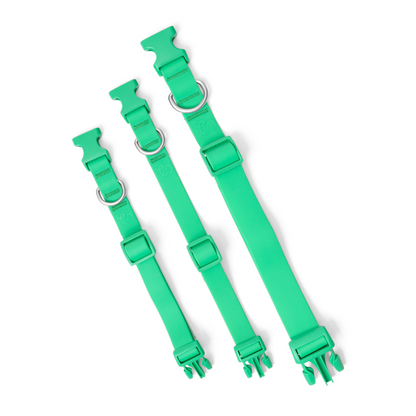 Three green waterproof dog collars in small, medium, and large sizes with silver hardware