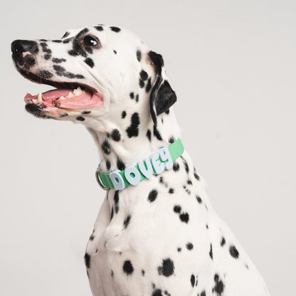 Silicone Dog Charms Complete Set, Custom Collars + Leashes