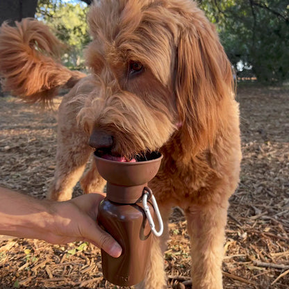 PREORDER -  Limited-EdItion Twig 20oz Flip Dog Water + Bottle Treat Dispenser