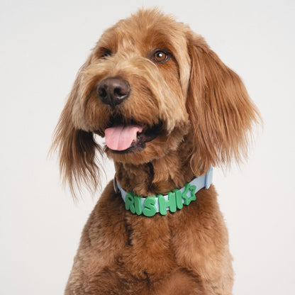 Silicone Dog Charms Complete Set, Custom Collars + Leashes