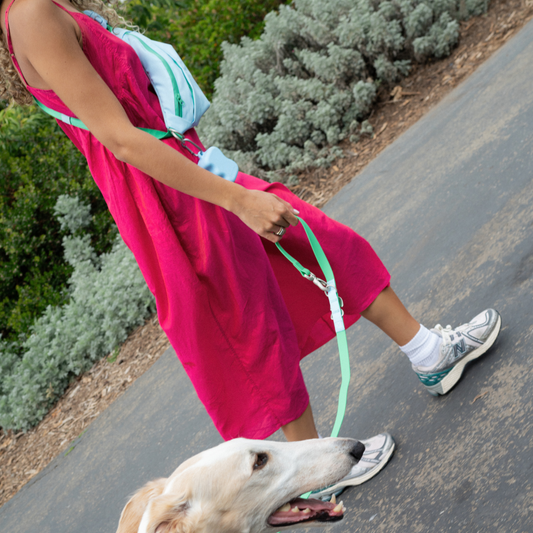 PREORDER - Waterproof City Dog Leash, Short Dog Leash (4 Pack)