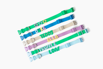 Silicone Dog Charms Complete Set, Custom Collars + Leashes