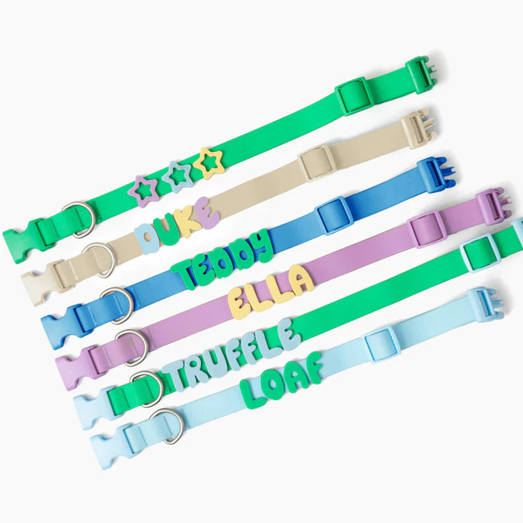 Silicone Dog Charms, Personalize Dog Collar/Leash (63 Pack Assorted)