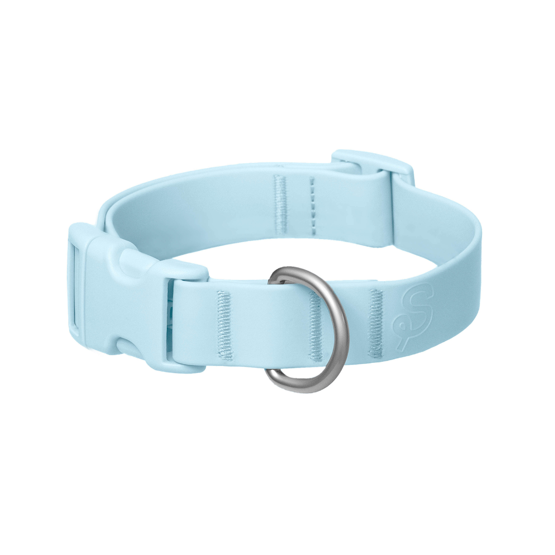 Waterproof Dog Collar (Pack of 4)