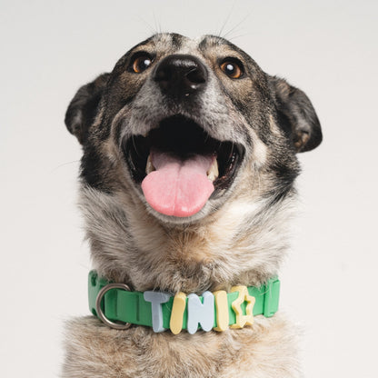 Silicone Dog Charms + Collar Set, Personalized Dog Collars