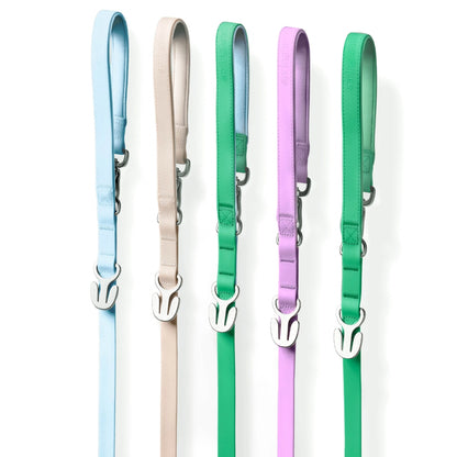 Silicone Dog Charms Complete Set, Custom Collars + Leashes