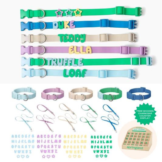 Silicone Dog Charms Complete Set, Custom Collars + Leashes