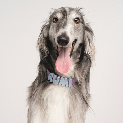 PREORDER - Silicone Dog Charms, Personalize Dog Collar/Leash (63 Pack Assorted)