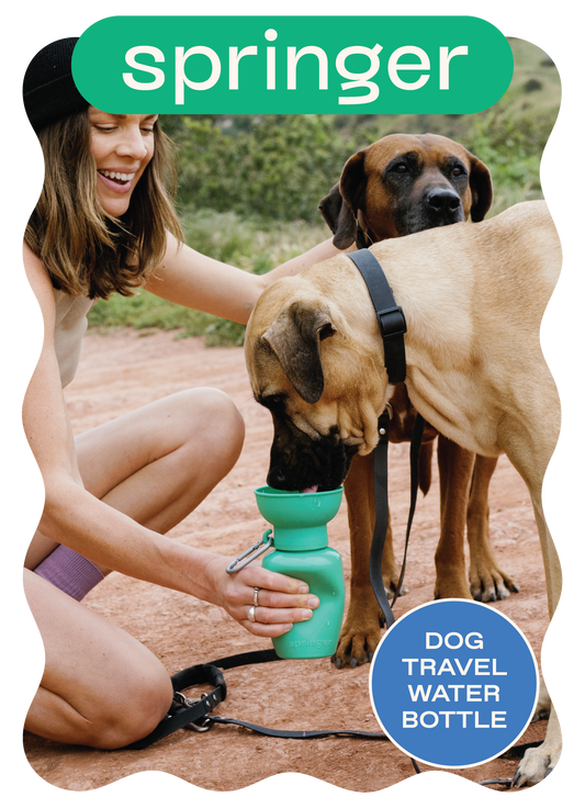 Acrylic 5 x 7 POP Dog Travel Water Bottle Frame