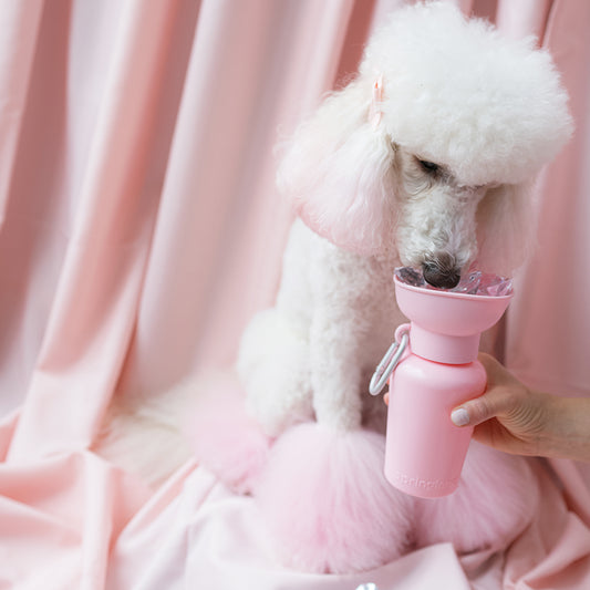 Limited-Edition Baby Collection