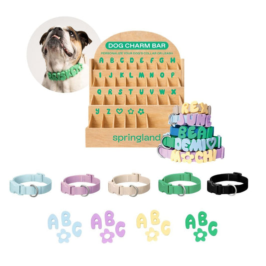Charm Bar Counter Display + Products
