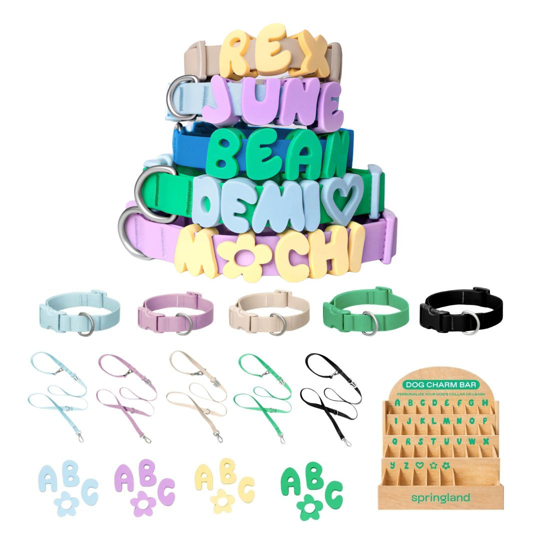 Complete Dog Walk Set + Charm Bar Counter Display