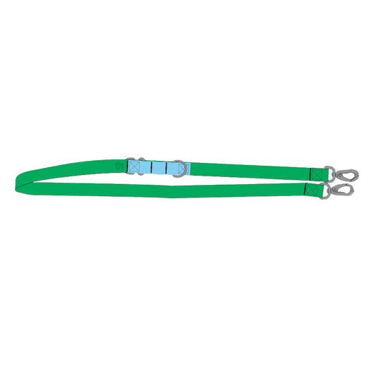 City Dog Leash 2025 (Single)