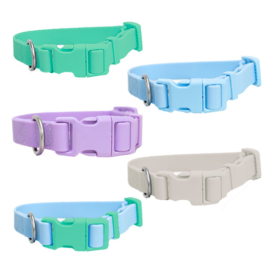 PRE-ORDER Dog Collars Mixed Case (Case of 5)