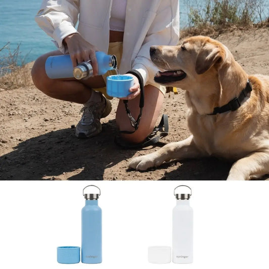 24oz Dog & Me Insulated Travel Bottle Mixed Case (Case of 6)