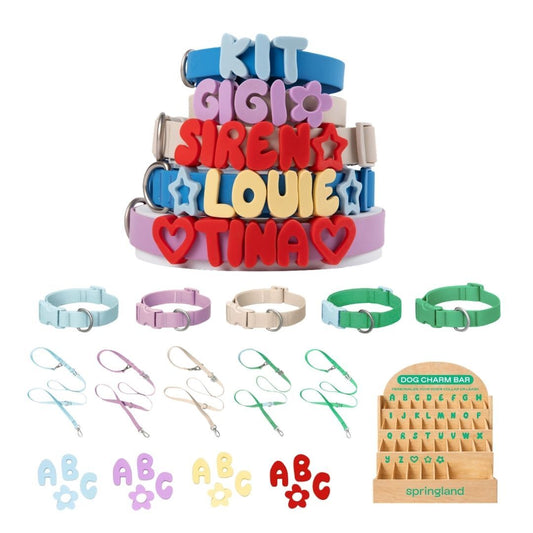 Complete Dog Walk Set + Charm Bar Counter Display
